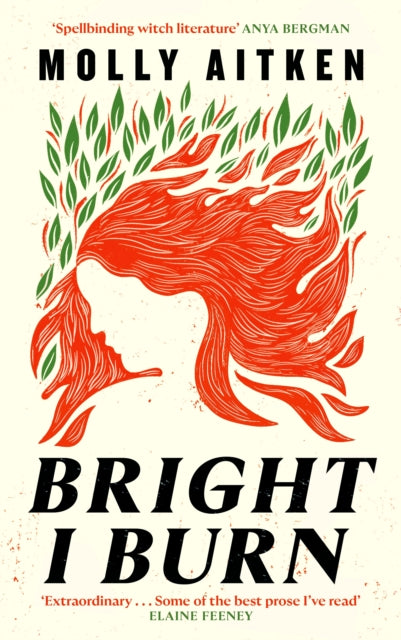 Bright I Burn by Molly Aitken, TheBookChart.com